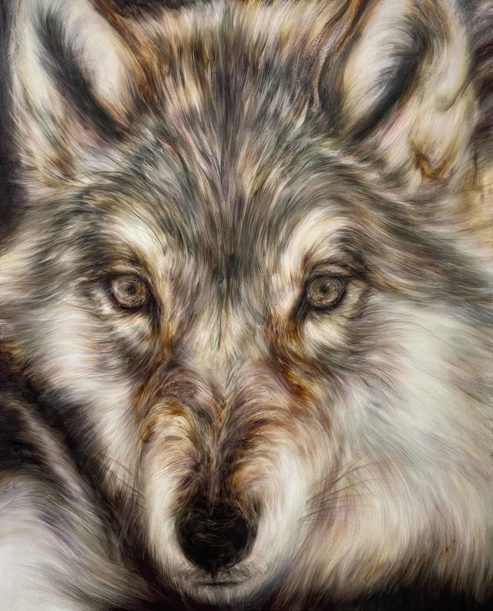 「Wolf,2021 no,1」1,620×1,303 oil on canvas  2021