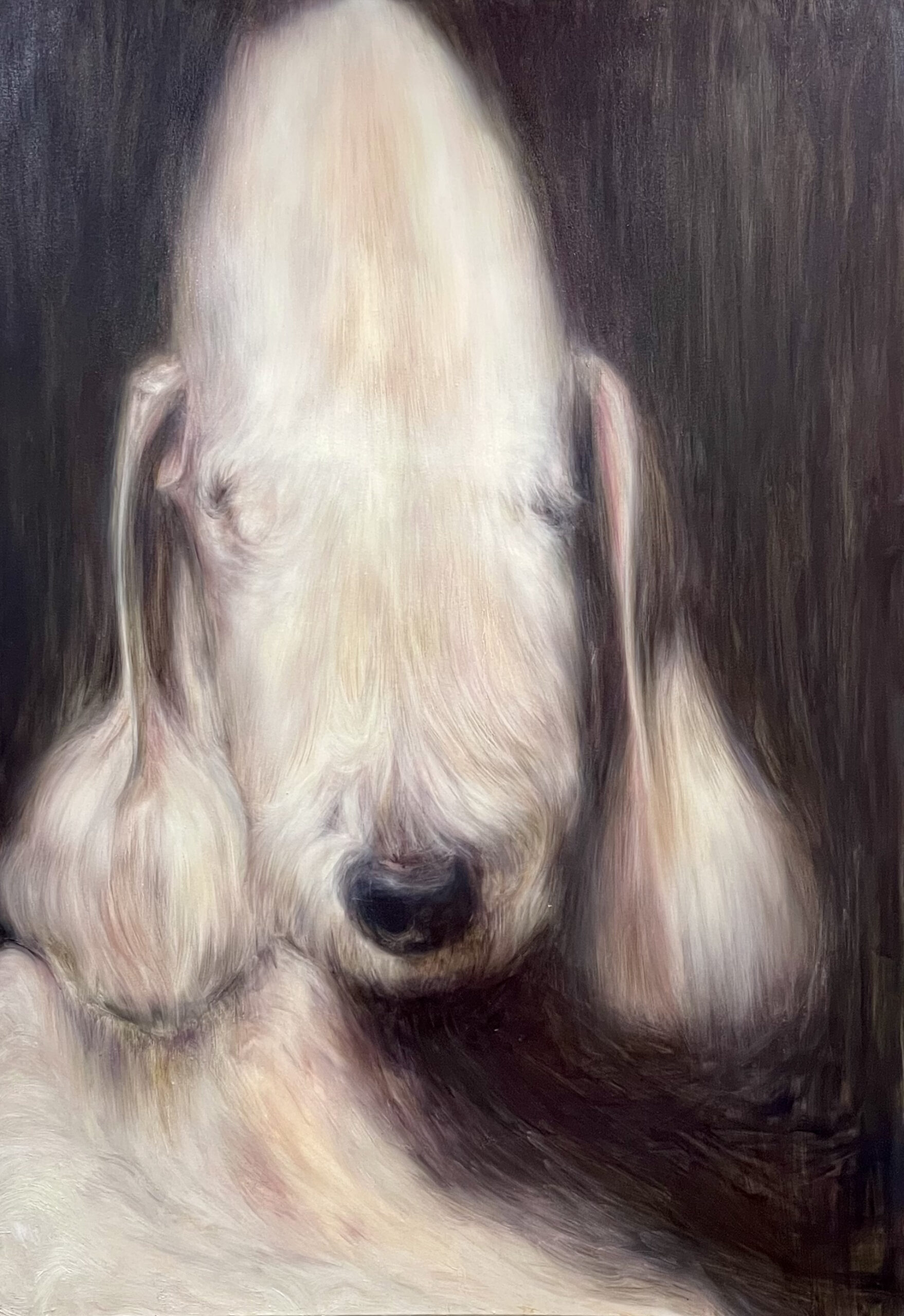 「白犬 (shiro)」1,620×1,120 oil on canvas  2021