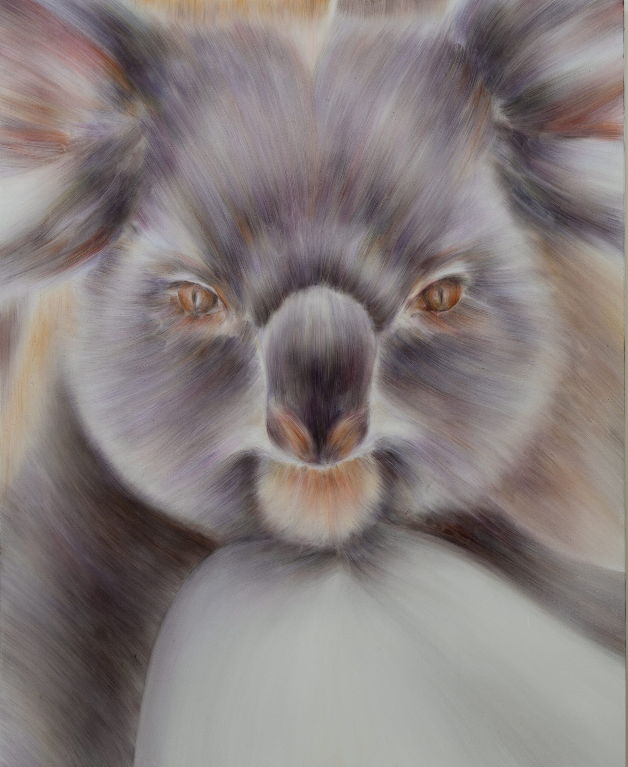 「Koala」1620×1303 oil on canvas  2023