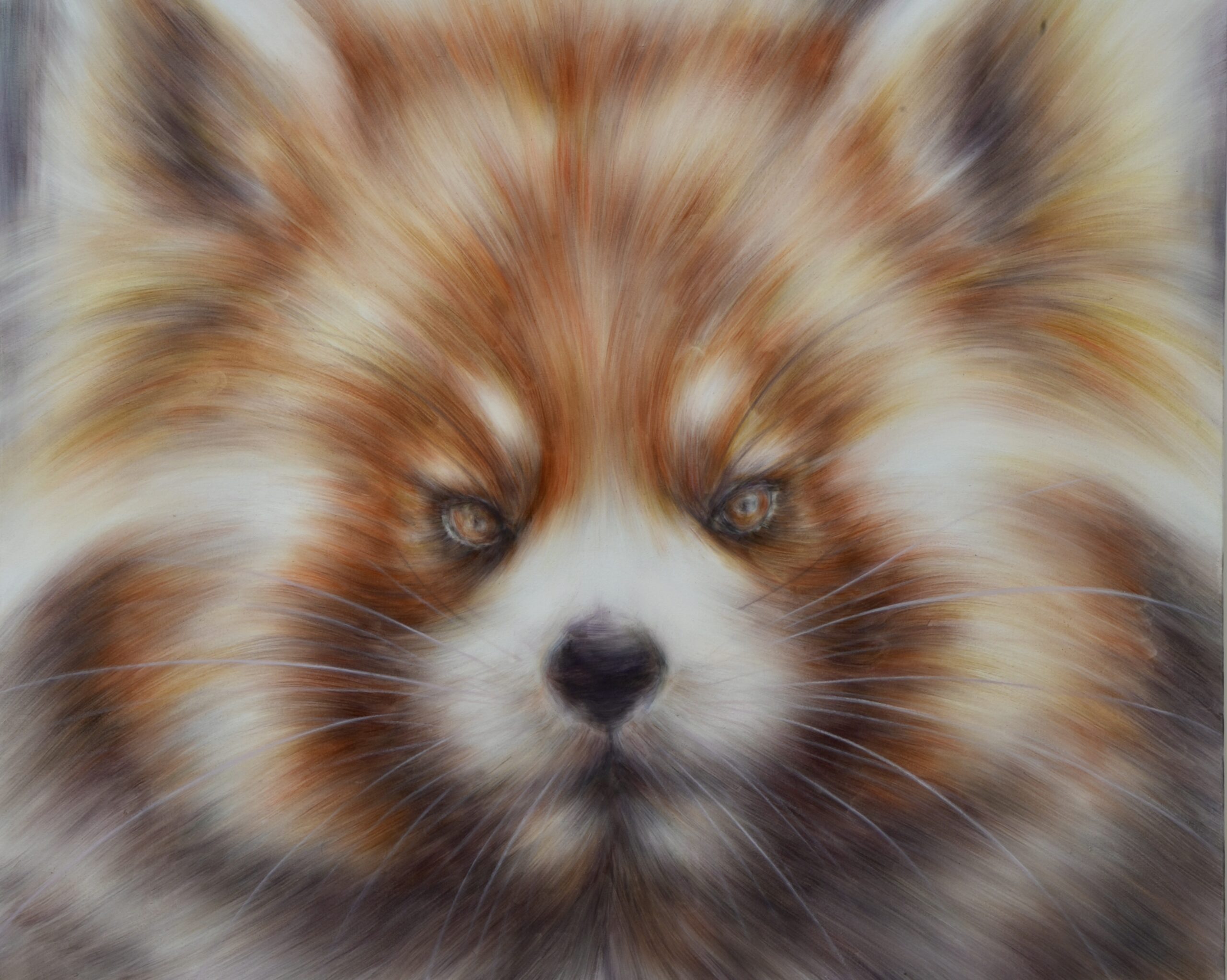 「Red panda」1620×1303 oil on canvas  2023