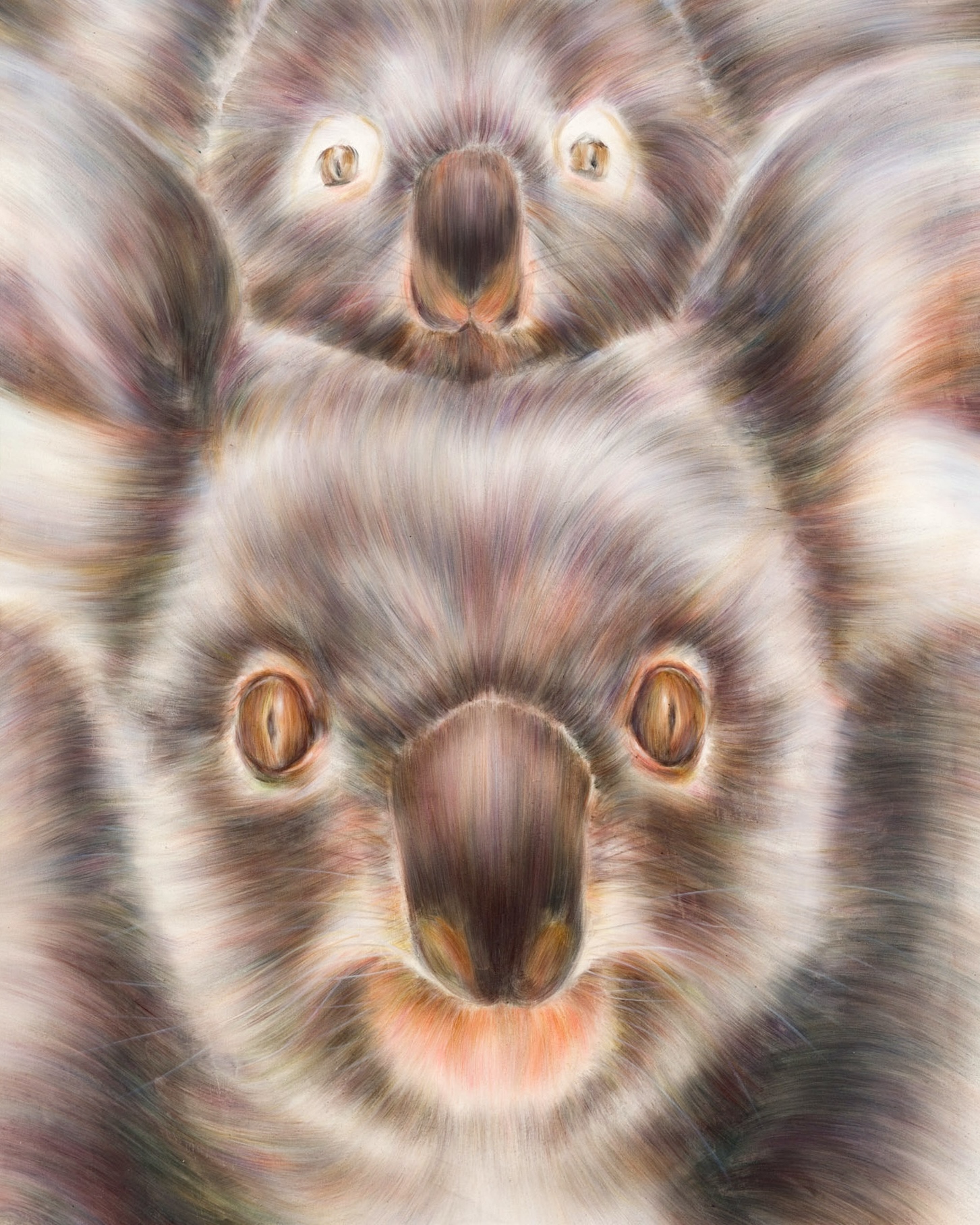 「Koalas」1620×1303 oil on canvas  2023