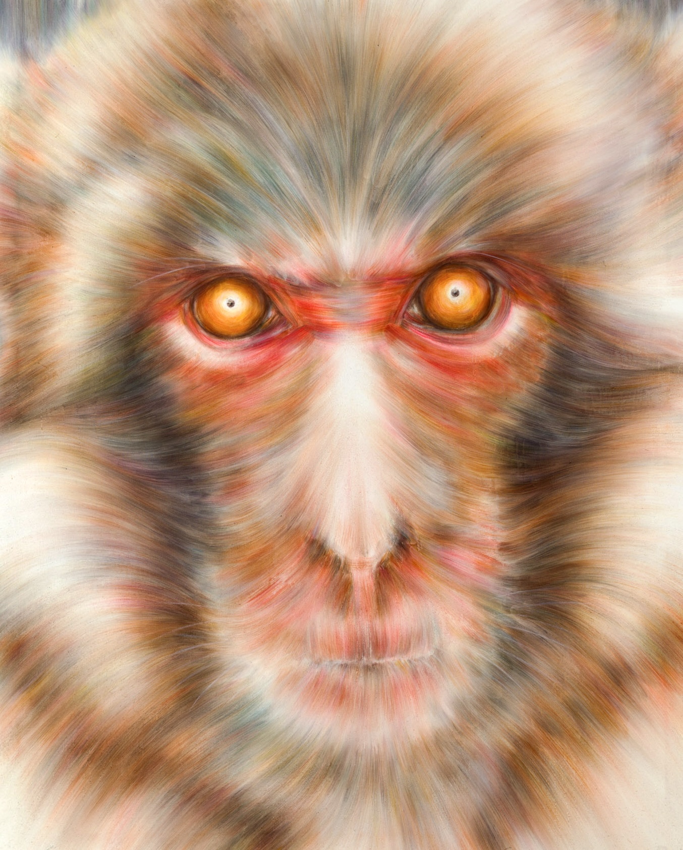 「Monkey」1620×1303  oil on canvas  202