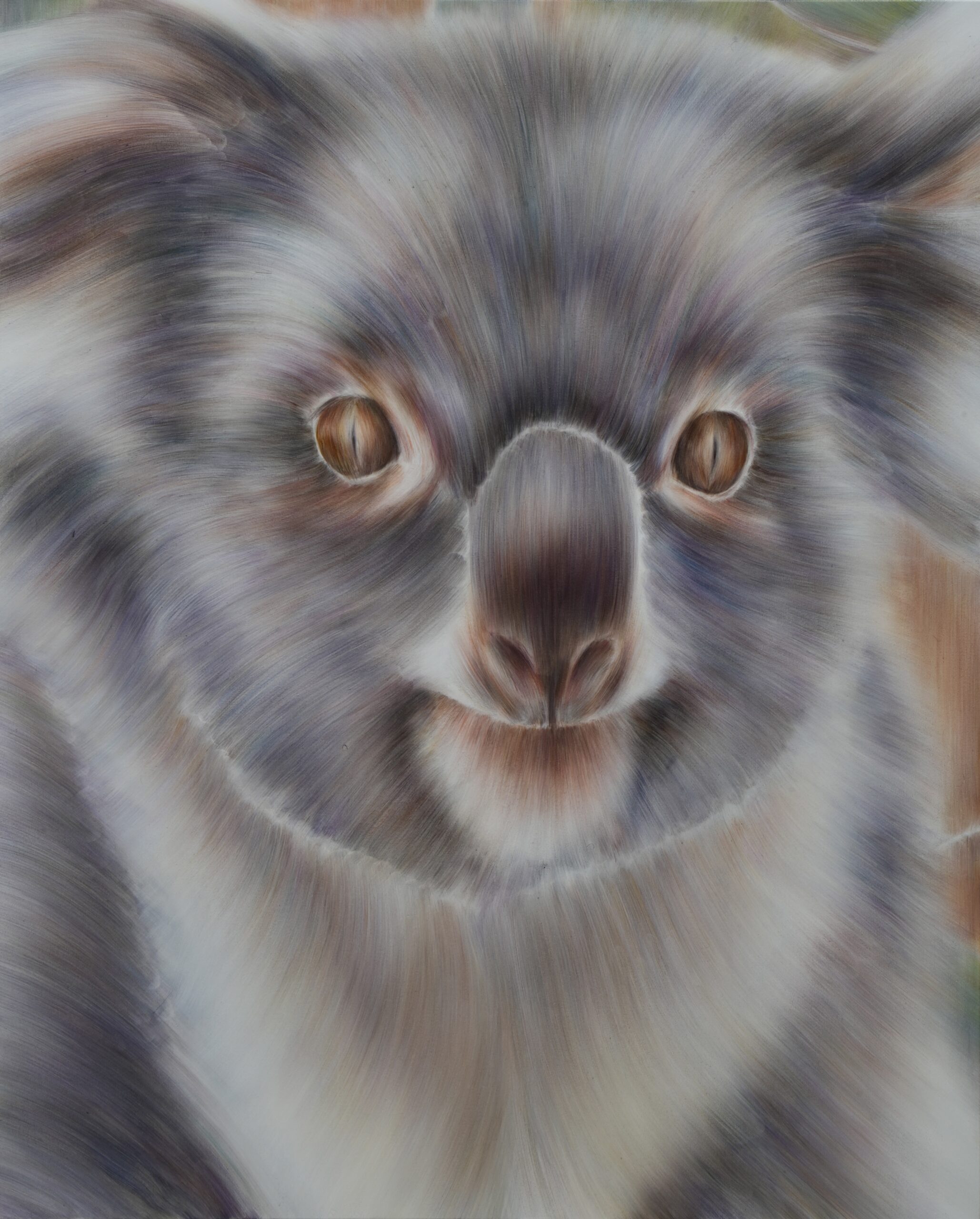 「koala」1620×1303 oil on canvas 2023