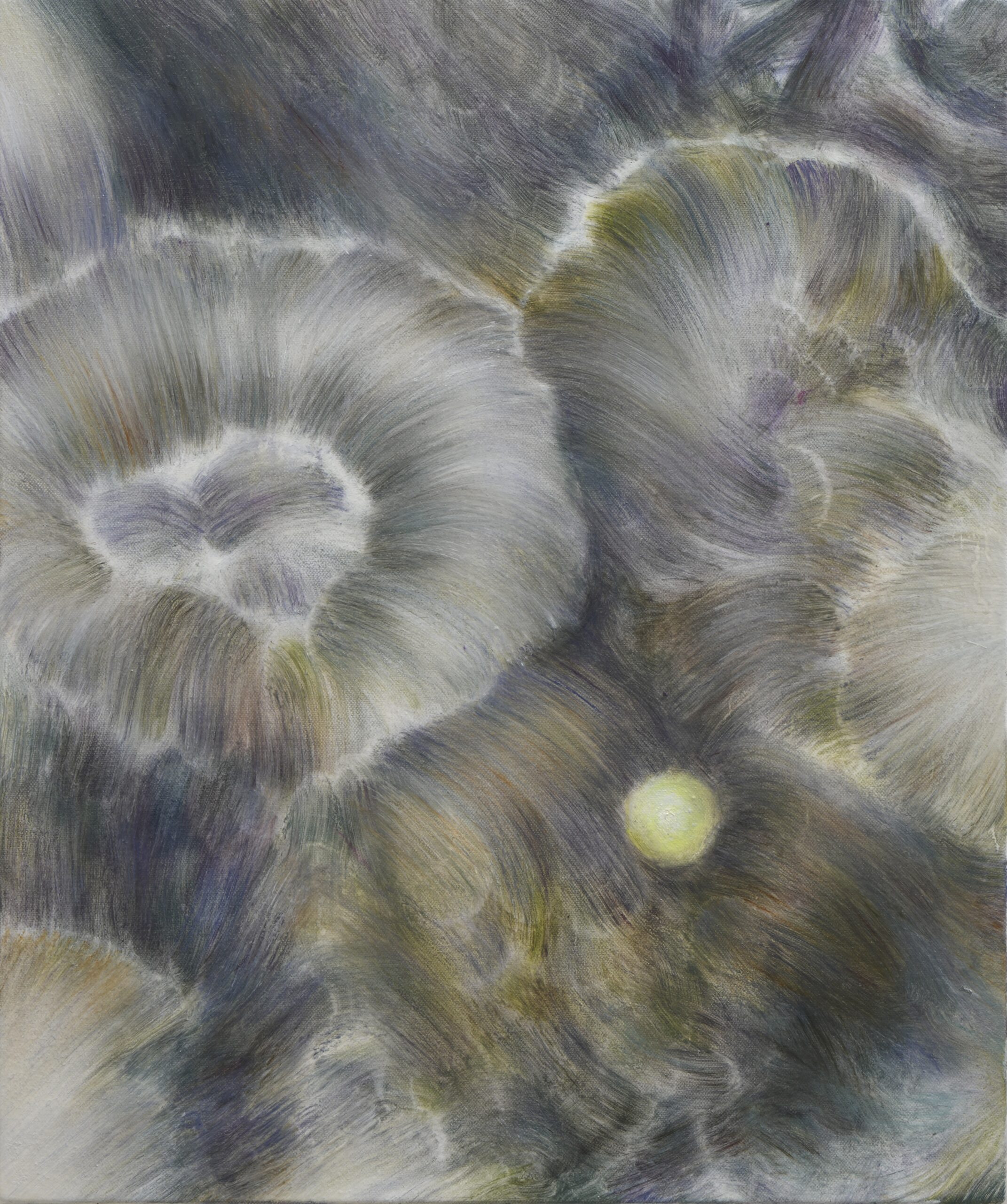 Coral Reef, 2025, oil on canvas, 455 × 380 mm